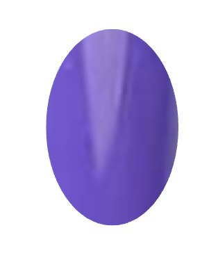 Nail Art - Vernis permanent - produit prothésiste ongulaire - produits ongles