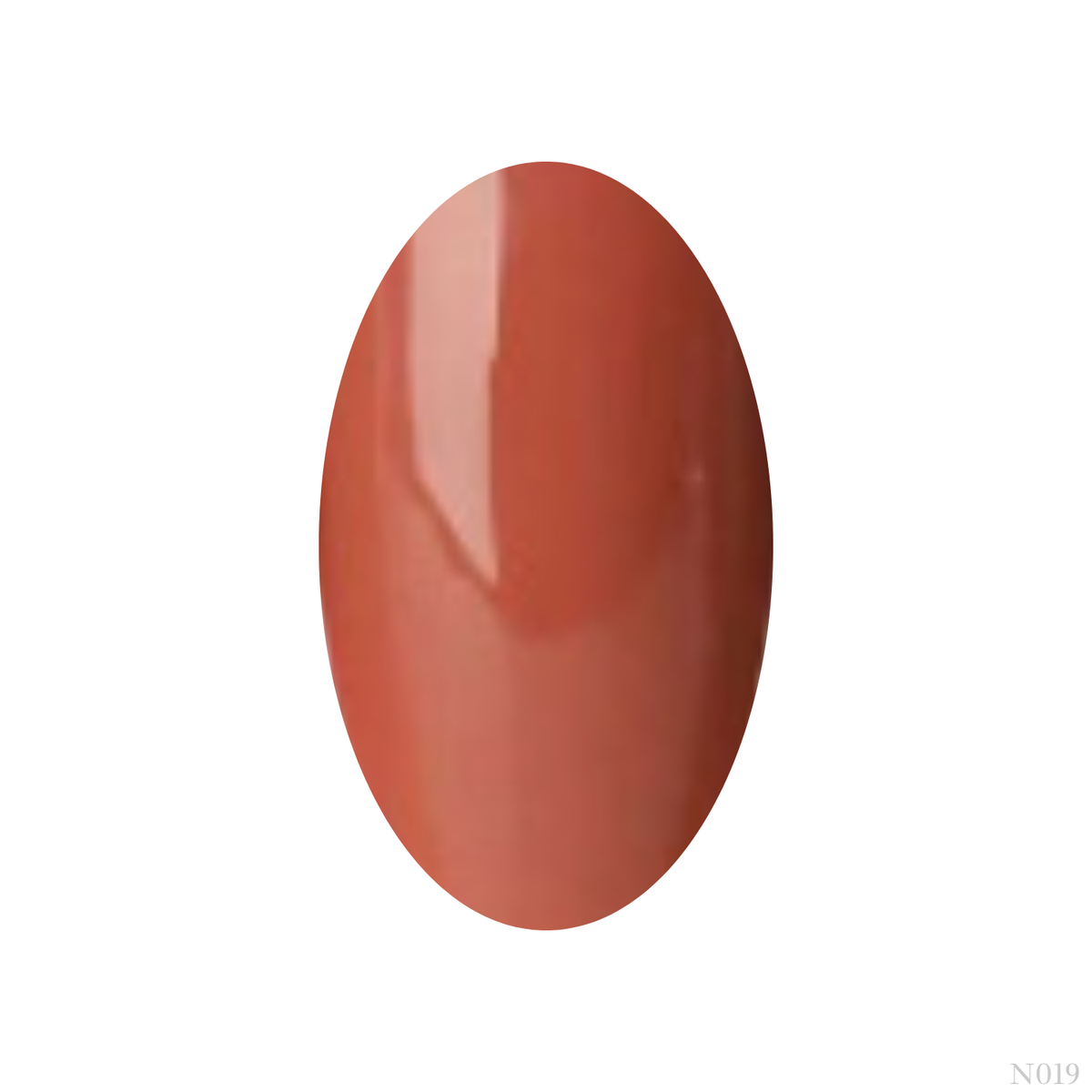 Nail Art - Vernis permanent - produit prothésiste ongulaire - produits ongles