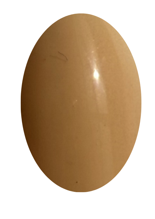 Vernis permanent mini - H061